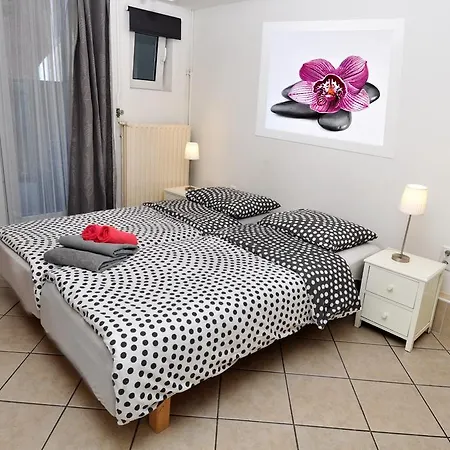 Schier Guest house
