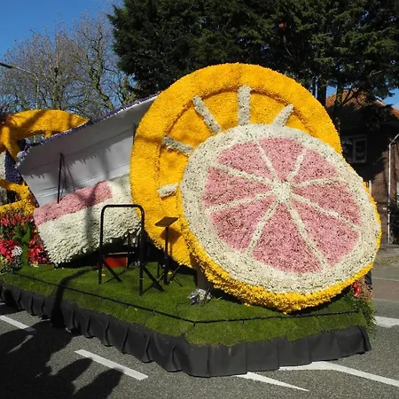 Schier 3*