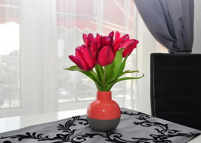 招待所 希尔膳食旅店 3*