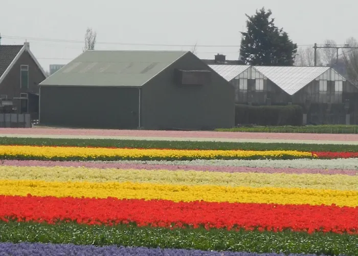 希尔膳食旅店 招待所