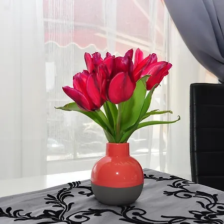 ゲストハウス Schier 3*