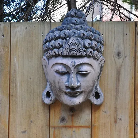 Schier ザントフォールト