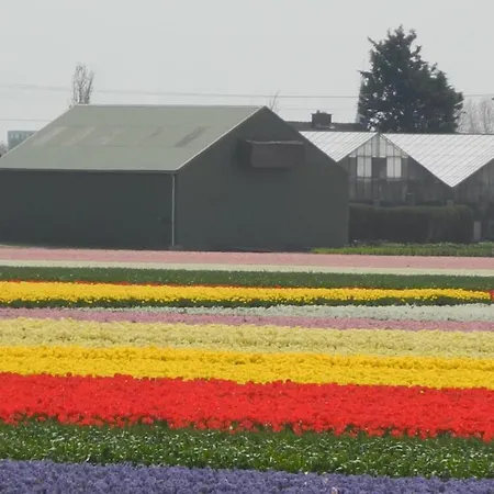 Schier ゲストハウス